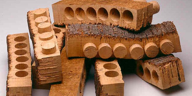 Cork strips from cork bark