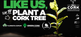 Cork plant a tree