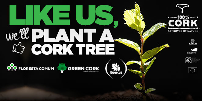 Cork plant a tree